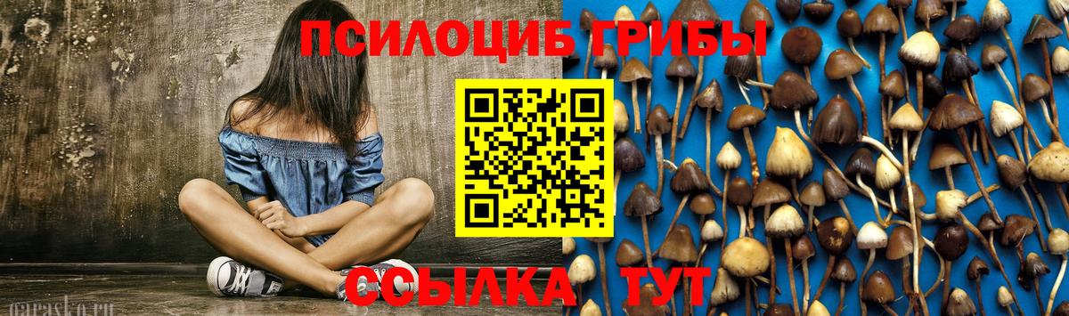 Юрга  купить наркотики сайты  Вход с VPN  Псилоцибиновые грибы ЛСД 